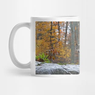 Timber Wolf Mug